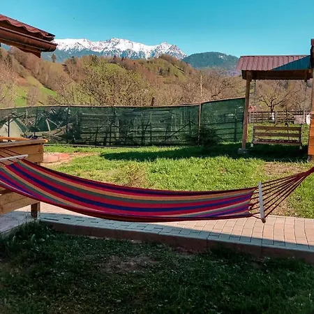 Cabanute Luca Ama Bran Lodge