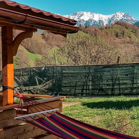 Cabanute Luca Ama Bran Lodge *